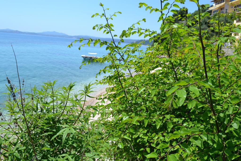 Glyfa Corfu Apartments Барбати Екстериор снимка